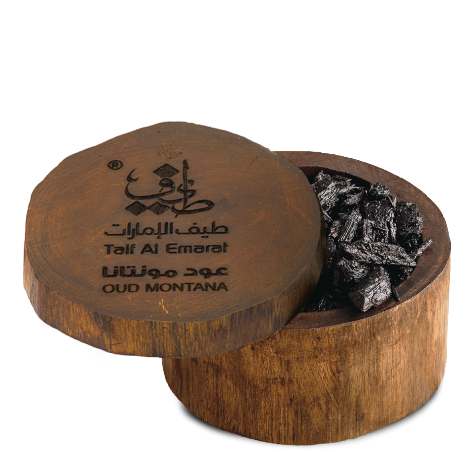 OUD AL QASERIN  – Taif Al Emarat